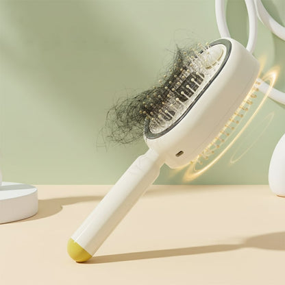 ✨Radiance Mist | Hydrating Hair Brush